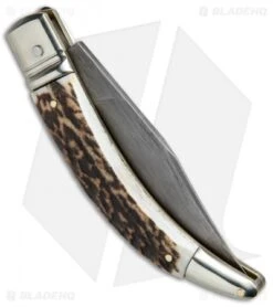 AGA Campolin Diana Lever Lock Automatic Knife Stag Horn (3.75" Damascus) -Aga Campolin AGA Campolin Diana LL Damascus Stag Horn BHQ 67441 jr side